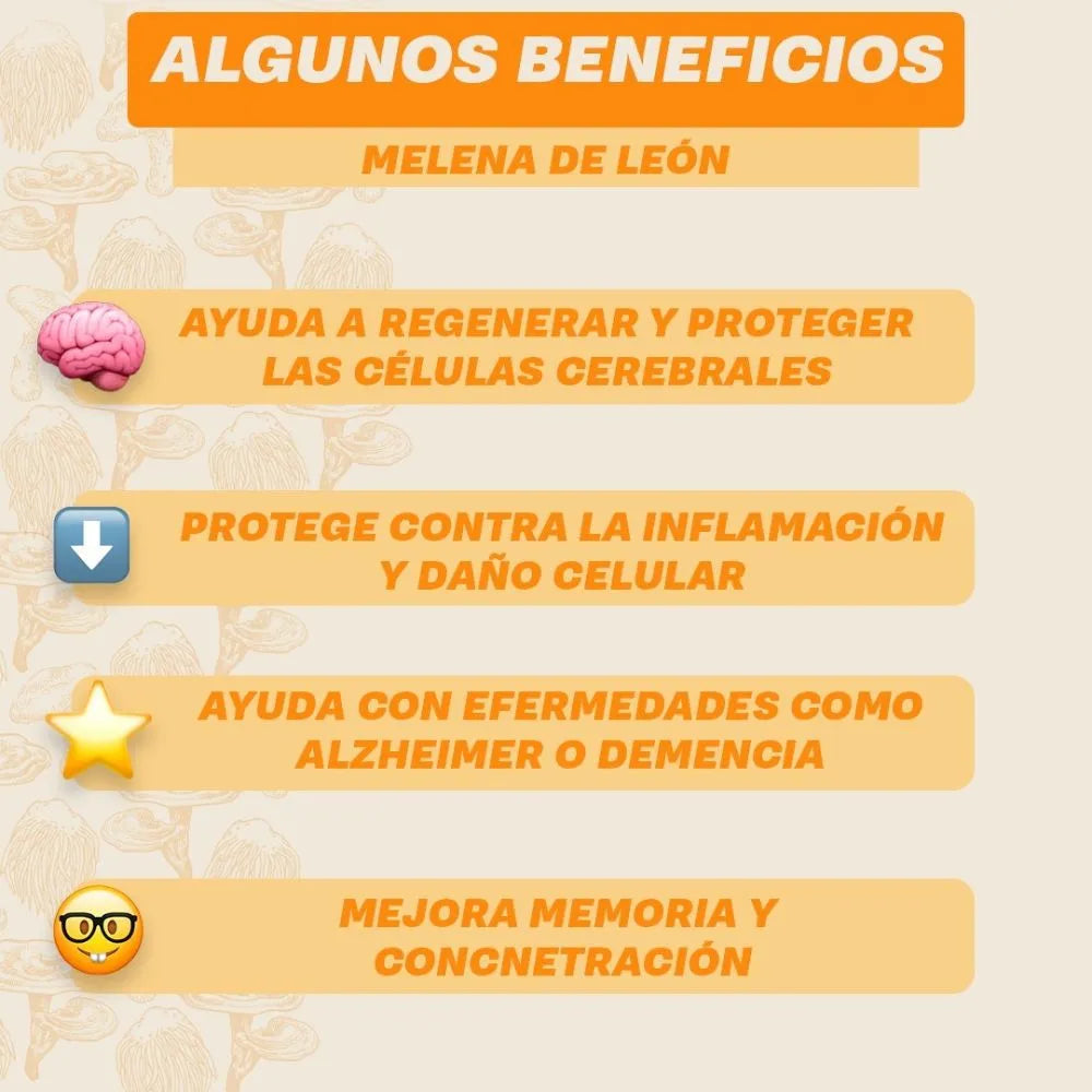 🧠 NeuroRevive: Regenera tu mente, fortalece tu cuerpo