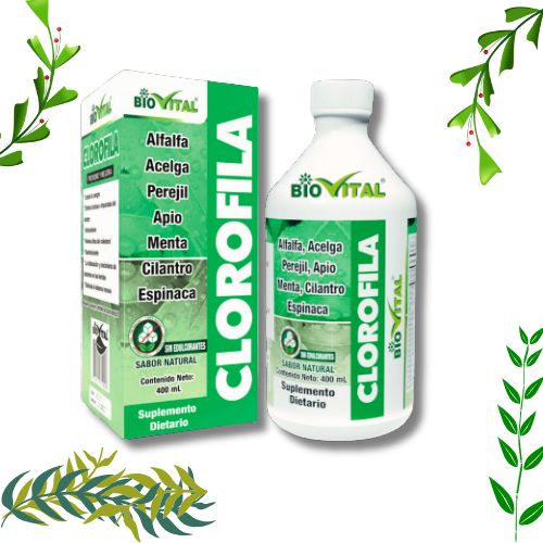 CLOROFILA X400ML
